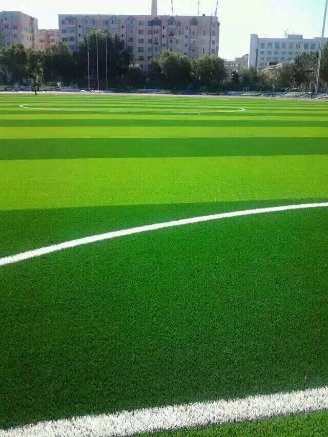 广州PA直营体育人造草坪好在哪里？